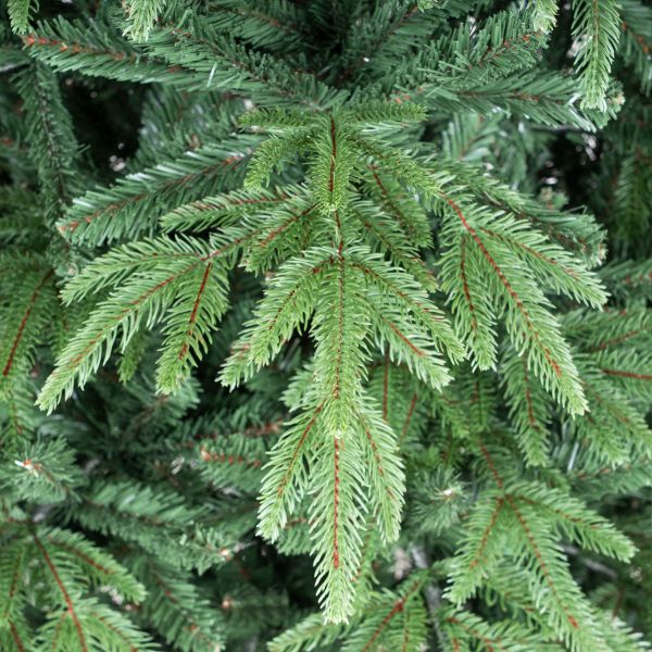 Albero di Natale artificiale verde Arvier-210 cm